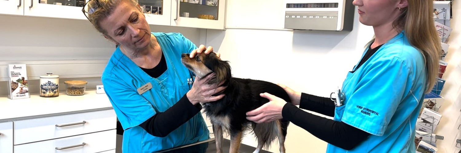 Har du et fysisk krævende arbejde? Forebyg skader med firmamassage